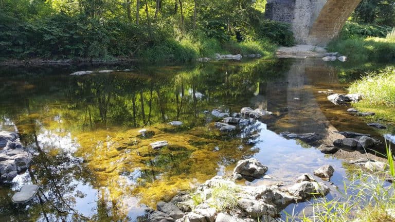 Camping les Berges du Doux Ardeche  768x432