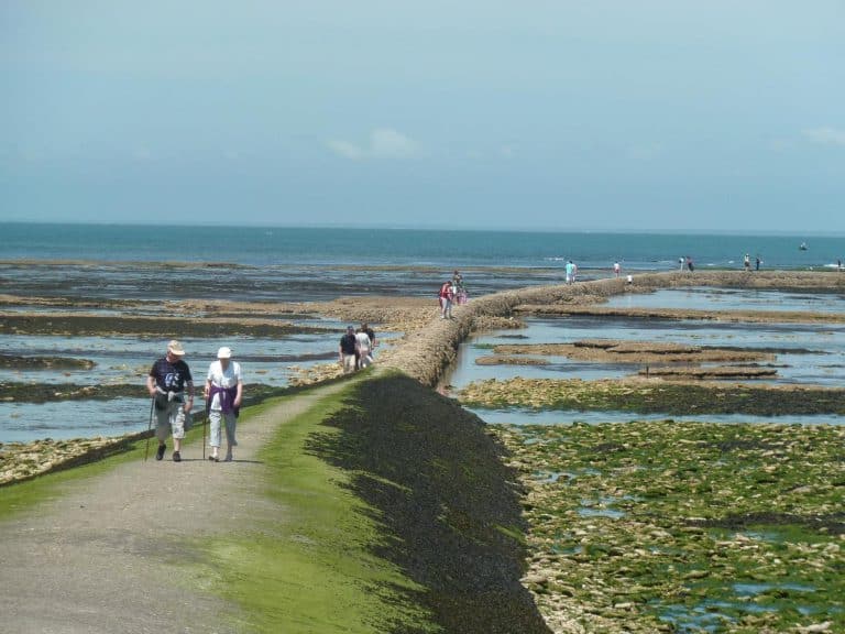 Camping Les Pérouses Île de Ré  768x576