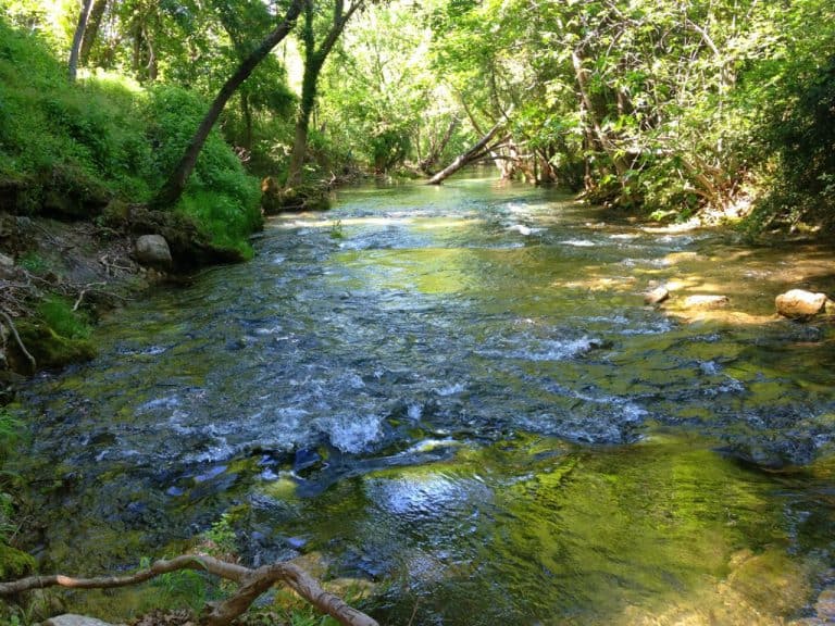 Camping Des Sources Herault riviertje 1 768x576