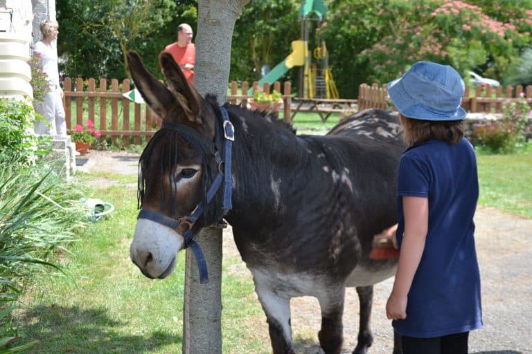 Camping La Clé Des Champs boerderijcamping 768x512